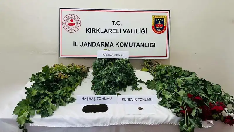 Kırklareli'nde Düzenlenen Uyuşturucu Operasyonu: 8 Gözaltı Gerçekleşti