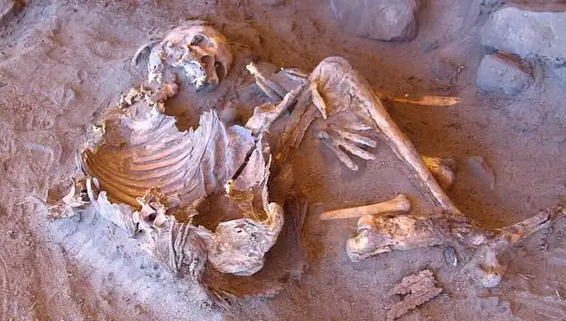 Yeni Mumya Keşfi: İnsanlığın Soy Ağacı Yeniden Yazılıyor!