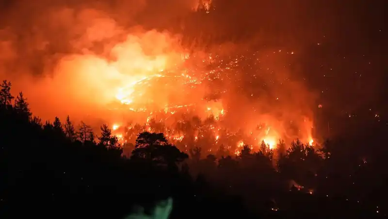 Bursa-Balıkesir Sınırında Yangın Alarmı: Ekipler Hızla Müdahale Ediyor