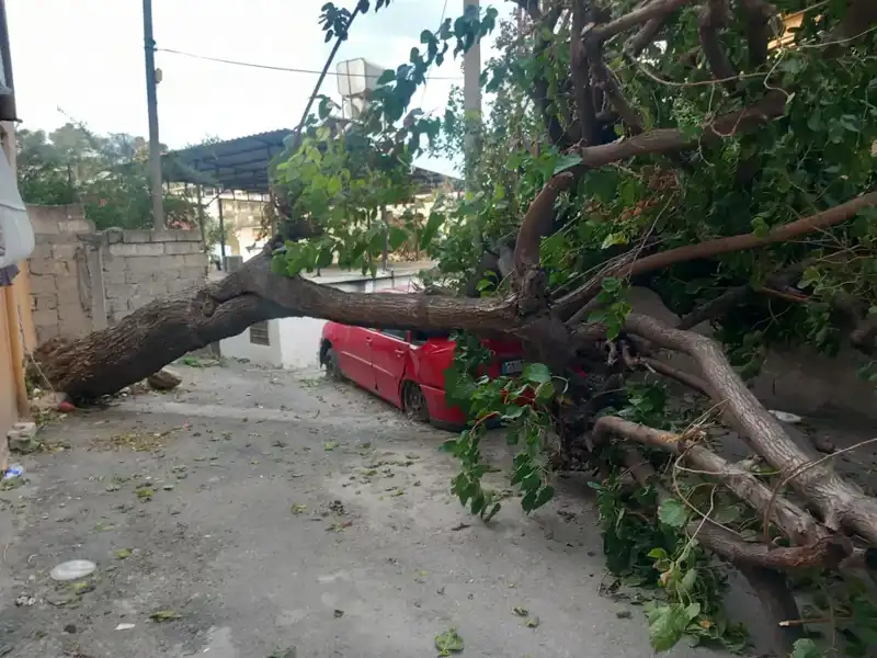 Hatay'da Şiddetli Fırtına: Ağaçlar Devrildi, Çatılar Uçtu