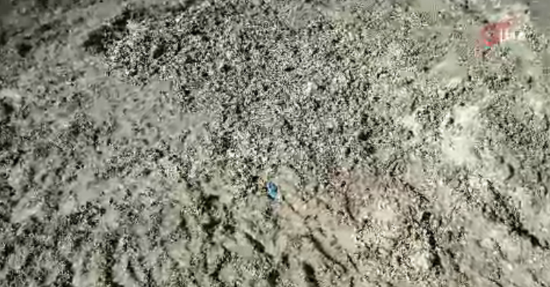 İstanbul'da Kayıp Çinli İş Adamının Cinayeti, Toprağa Gömülü Bulundu