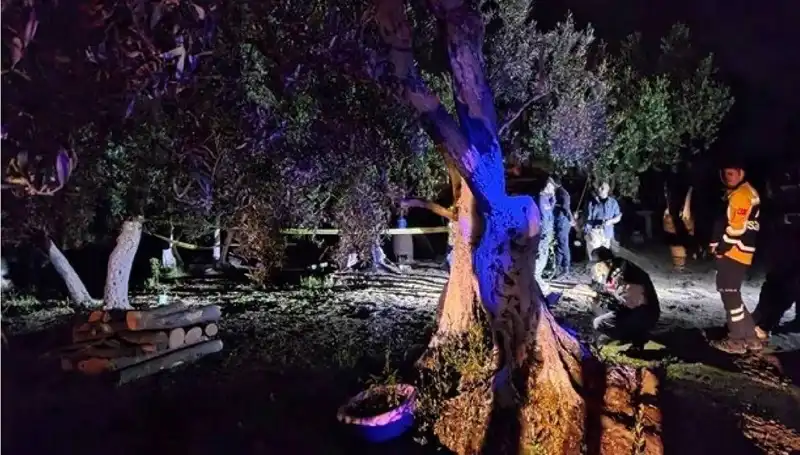 Çiftlikte Baltalı Vahşet: Gözaltına Alınan Şüpheli Tüm Dikkatleri Üzerine Topladı