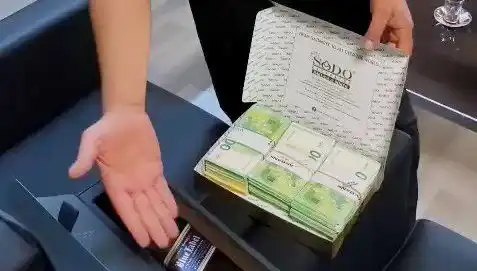 Manavgat'ta Şok Operasyon: Baklava Kutularında Saklanan Avrolar Ele Geçirildi
