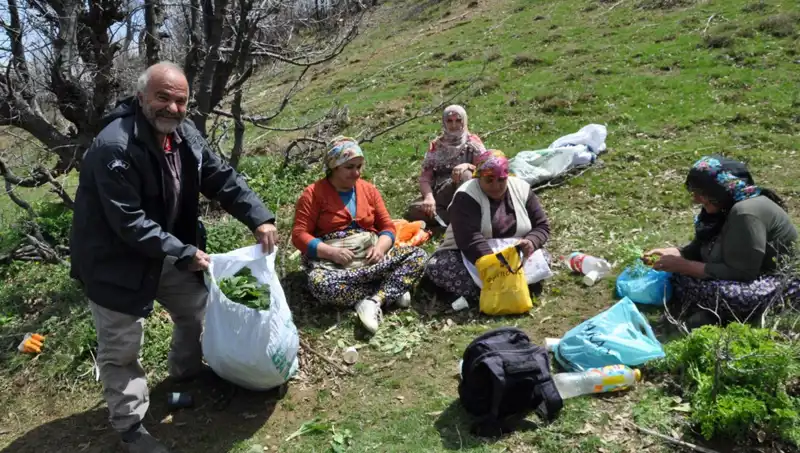 Kilosu 250 Lira: Yüzlerce Ailenin Geçim Kaynağı İçin 5 Saat Yol Yürüyüyorlar