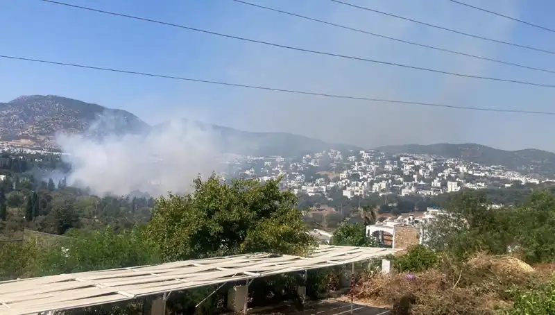 Muğla'daki Orman Yangınlarının Kontrol Altına Alınması ve Son Durum Raporu