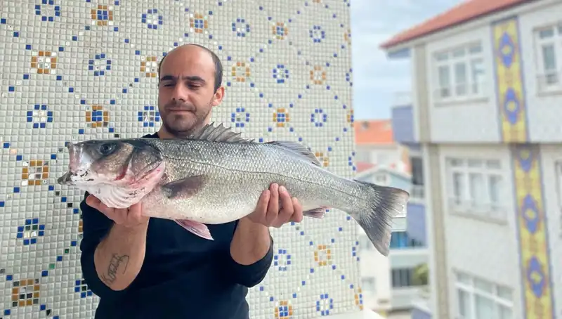 Tutanaklara Geçen 7,5 Kiloluk Dev Levrek: Rekor Av Buluşması