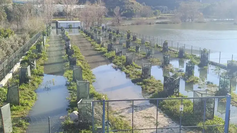 Irmak Taşmasının Ardından Otoyol Şantiyesi Faciaya Neden Oldu!