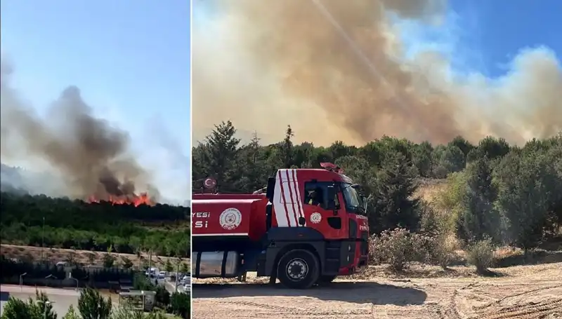 Gebze'de Yangın Panik Yaratıyor: Ormanlık Alan Kül Oldu