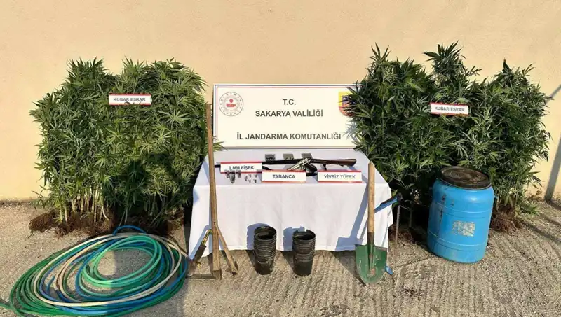 Sakarya'da Uyuşturucu Operasyonu: 1 Şahıs Tutuklandı