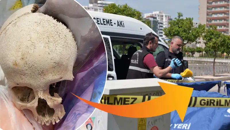 Sitenin Çöpünden Çıkan Kafatasının Sırrı: Uzman Doktor Gözaltında