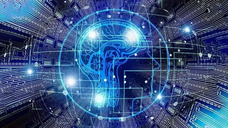 Kripto Para Dünyasında Şok: "Bot Sürüsü" Dolandırıcılığı Çökertebilir