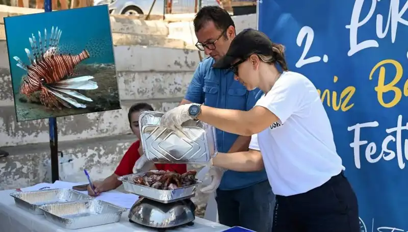 Antalya'da İstilacı Aslan Balığı Avlama Yarışması: Rekabet ve Farkındalık Bir Arada