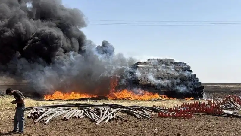 Mardin'de Anız Yangını: Tarım Arazilerini Tehdit Eden Tehlike