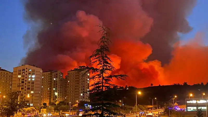 Bursa’da Yangınlar Alarm Veriyor: Şehir Tehlike Altında!