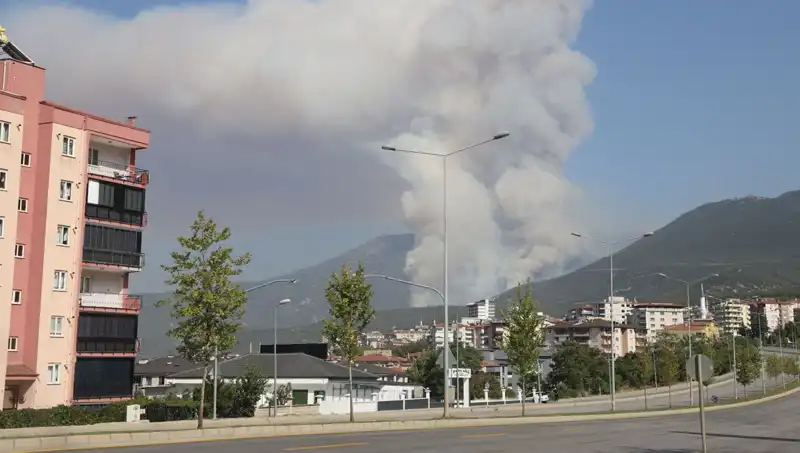 Denizli'de Orman Yangını: Şüpheli Gözaltında, Yangının Nedeni Araştırılıyor